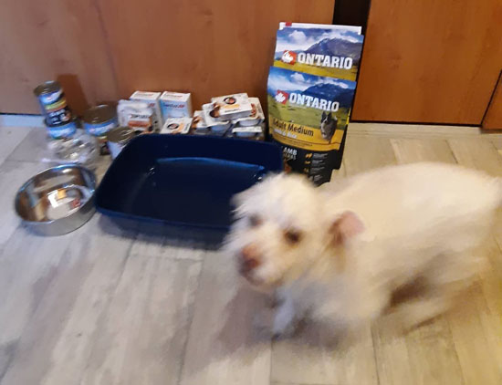 handipet rescue leden